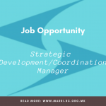 Open vacancy – Strategic Development and Coordination Manager